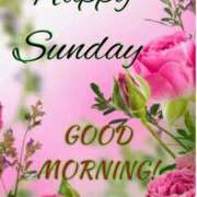 ヒメ日記 2025/06/15 09:32 投稿 さつき ニューヨークニューヨーク