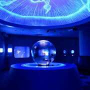 ヒメ日記 2025/07/25 15:00 投稿 さつき ニューヨークニューヨーク