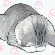 ヒメ日記 2025/08/01 09:53 投稿 さつき ニューヨークニューヨーク