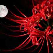 ヒメ日記 2025/09/26 13:51 投稿 さつき ニューヨークニューヨーク