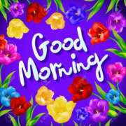 ヒメ日記 2025/10/17 09:23 投稿 さつき ニューヨークニューヨーク