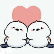 ヒメ日記 2025/12/19 21:16 投稿 さつき ニューヨークニューヨーク