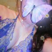 ヒメ日記 2025/12/20 09:22 投稿 さつき ニューヨークニューヨーク