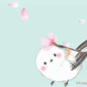 さつき ＊明日から復帰します＊ ニューヨークニューヨーク