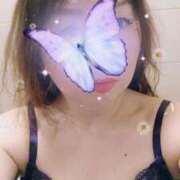 さつき ＊シマウマ＊ ニューヨークニューヨーク