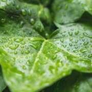 まや [お題] ニューヨークニューヨーク