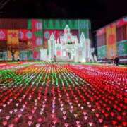 ヒメ日記 2024/12/21 23:32 投稿 名取 ニューヨークニューヨーク