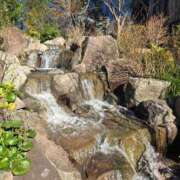 ヒメ日記 2025/01/10 17:26 投稿 名取 ニューヨークニューヨーク