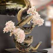 ヒメ日記 2025/01/12 13:09 投稿 名取 ニューヨークニューヨーク