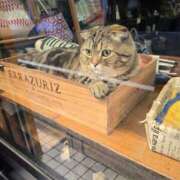 ヒメ日記 2025/02/22 12:29 投稿 名取 ニューヨークニューヨーク