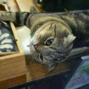 ヒメ日記 2025/02/24 01:05 投稿 名取 ニューヨークニューヨーク