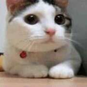 ヒメ日記 2025/03/02 23:46 投稿 名取 ニューヨークニューヨーク