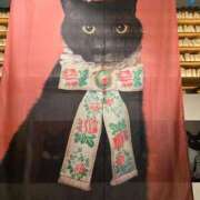 ヒメ日記 2025/03/16 23:41 投稿 名取 ニューヨークニューヨーク