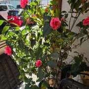 ヒメ日記 2025/03/22 14:59 投稿 名取 ニューヨークニューヨーク