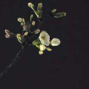 ヒメ日記 2025/03/23 23:59 投稿 名取 ニューヨークニューヨーク