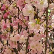 ヒメ日記 2025/03/28 13:58 投稿 名取 ニューヨークニューヨーク