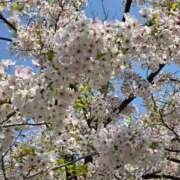 ヒメ日記 2025/03/30 13:16 投稿 名取 ニューヨークニューヨーク