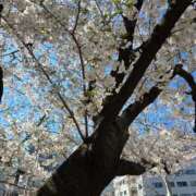 ヒメ日記 2025/04/04 15:11 投稿 名取 ニューヨークニューヨーク