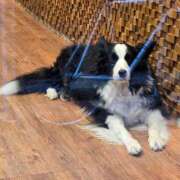 ヒメ日記 2025/04/05 13:22 投稿 名取 ニューヨークニューヨーク