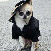 ヒメ日記 2025/04/05 23:11 投稿 名取 ニューヨークニューヨーク