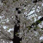 ヒメ日記 2025/04/06 22:36 投稿 名取 ニューヨークニューヨーク