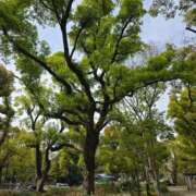 ヒメ日記 2025/04/12 12:31 投稿 名取 ニューヨークニューヨーク