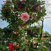 ヒメ日記 2025/04/13 23:05 投稿 名取 ニューヨークニューヨーク