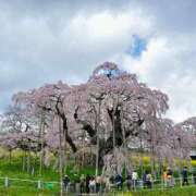 ヒメ日記 2025/04/18 17:23 投稿 名取 ニューヨークニューヨーク