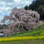 ヒメ日記 2025/04/18 23:12 投稿 名取 ニューヨークニューヨーク