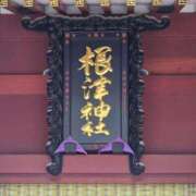 ヒメ日記 2025/04/19 23:19 投稿 名取 ニューヨークニューヨーク