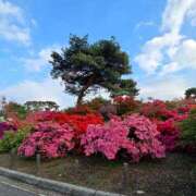 ヒメ日記 2025/04/25 23:16 投稿 名取 ニューヨークニューヨーク