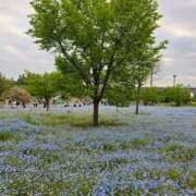 ヒメ日記 2025/04/26 11:14 投稿 名取 ニューヨークニューヨーク