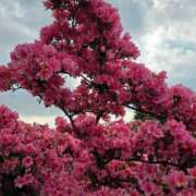 ヒメ日記 2025/04/26 23:01 投稿 名取 ニューヨークニューヨーク