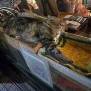 ヒメ日記 2025/04/27 23:23 投稿 名取 ニューヨークニューヨーク