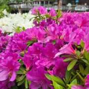 ヒメ日記 2025/05/02 23:06 投稿 名取 ニューヨークニューヨーク