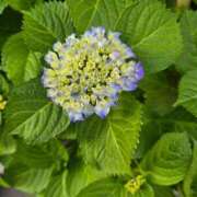 ヒメ日記 2025/05/16 12:34 投稿 名取 ニューヨークニューヨーク