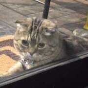 ヒメ日記 2025/05/18 00:05 投稿 名取 ニューヨークニューヨーク