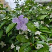 ヒメ日記 2025/05/30 23:15 投稿 名取 ニューヨークニューヨーク