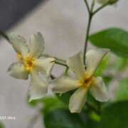 ヒメ日記 2025/06/01 23:17 投稿 名取 ニューヨークニューヨーク