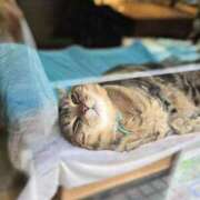 ヒメ日記 2025/06/07 23:03 投稿 名取 ニューヨークニューヨーク