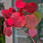 ヒメ日記 2025/06/08 12:20 投稿 名取 ニューヨークニューヨーク