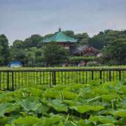 ヒメ日記 2025/06/15 23:36 投稿 名取 ニューヨークニューヨーク