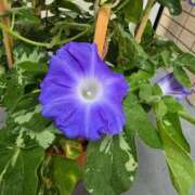 ヒメ日記 2025/07/12 23:03 投稿 名取 ニューヨークニューヨーク