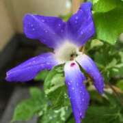 ヒメ日記 2025/07/18 11:55 投稿 名取 ニューヨークニューヨーク