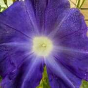 ヒメ日記 2025/08/01 23:42 投稿 名取 ニューヨークニューヨーク