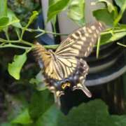 ヒメ日記 2025/08/10 23:13 投稿 名取 ニューヨークニューヨーク