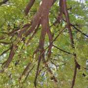 ヒメ日記 2025/08/16 12:32 投稿 名取 ニューヨークニューヨーク