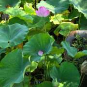 ヒメ日記 2025/08/29 23:08 投稿 名取 ニューヨークニューヨーク