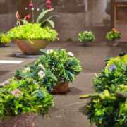 ヒメ日記 2025/08/30 12:05 投稿 名取 ニューヨークニューヨーク