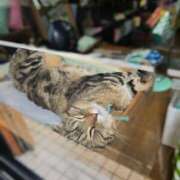 ヒメ日記 2025/09/06 23:29 投稿 名取 ニューヨークニューヨーク